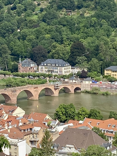 Photo from customer review